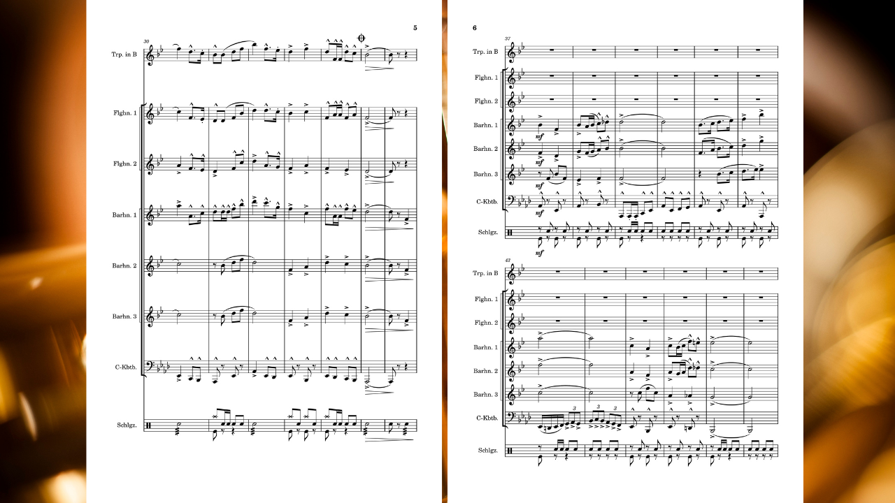 Daitinger Dorfpolka | Polka für kleine Besetzung (8er-Besetzung) – Bild 4